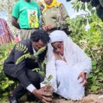 Yargatenga prévoit 32 800 arbres pour la Journée nationale de l’arbre
