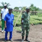 Togo : 398 240 plants de café et cacao distribués aux producteurs