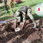 Bittou : 30 000 plants mis en terre pour la Journée de l’arbre
