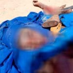 Opération conjointe au Mali : des terroristes neutralisés à Niombo