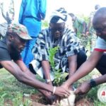 Nahouri : 200 000 arbres à planter pour reverdir le Faso
