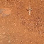 Les groupes armés du Sahel cultivent une image en ligne trompeuse