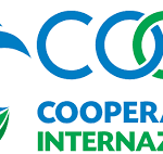 Chef·fe de Mission – COOPI Niger