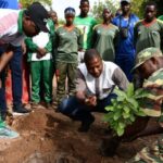 Journée nationale de l&rsquo;arbre : lancement à Solenzo par le Haut-Commissaire
