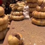 La calebasse dans la vie quotidienne et spirituelle en Afrique