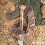 Des ossements anciens découverts au Mali suscitent des accusations