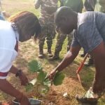 Boulkiemdé : plantation d&rsquo;arbres pour reverdir le Faso