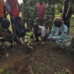 Kénédougou : 143 arbres plantés à Koloko pour la Journée de l&rsquo;Arbre