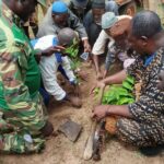 Kénédougou : 800 plants mis en terre par les Dozos à Saraba