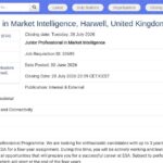 Analyste en Intelligence de Marché – Programme Junior