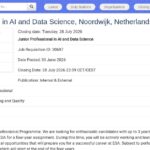 Junior Professional en IA et Data Science