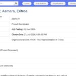 Coordinateur de Projet – Asmara, Érythrée