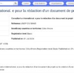 Consultant international – Rédaction de projet solaire