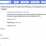 Consultant en reporting et rédaction de propositions – WASH