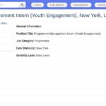Stage en gestion de programme – Engagement jeunesse