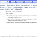 Consultant en analyse-pays et planification stratégique