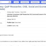 Consultant·e QuIP Researcher – UNICEF Florence (Remote)