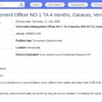 Responsable Gestion de l&rsquo;Information – UNICEF Venezuela