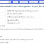 Expert en gestion organisationnelle et des processus