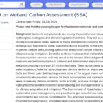 Expert national en évaluation du carbone des zones humides