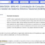 Consultor Sénior – Gestor du Système Électrique National