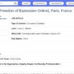 Consultant en gouvernance des plateformes numériques –
