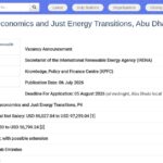 Team Lead – Socioeconomics & Just Energy Transitions