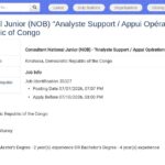 Analyste Support Junior – Appui Opérationnel