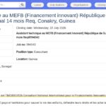Assistant technique en financement innovant – Guinée