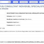 Consultant national spécialiste en orpaillage artisanal