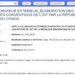 Consultant(e) en études de ratificabilité des conventions