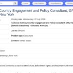 Consultant·e Engagement Pays et Politiques – PLF