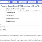 Consultant(e) Partenariats Publics – MENARO, Amman