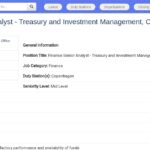 Analyste Financier Sénior – Trésorerie et Investissements