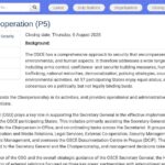 Responsable de la Coopération Externe (P5)