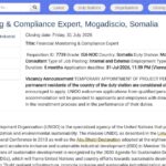Expert en Conformité Financière et Suivi – Mogadiscio
