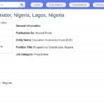 Coordinateur·trice de Programme – Éducation, Lagos