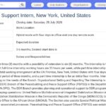 Stagiaire en Programmation DDR – Nations Unies