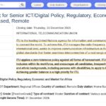 Consultant Senior en Politique Numérique et Régulation –