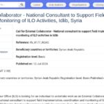 Consultant national – Mise en œuvre et suivi des projets
