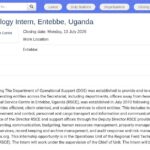 Stagiaire en Technologies de l&rsquo;Information – RSCE Entebbe