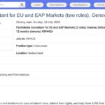 Consultant en Paid Media pour marchés UE et EAP