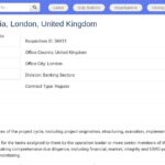 Infrastructure Analyst – Eurasia, London