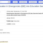 Consultant·e en Éducation en Situations d&rsquo;Urgence –