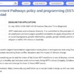 Consultant international en politiques d&rsquo;autonomisation