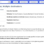 Consultant en évaluation terminale – Statistiques de genre