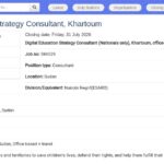 Digital Education Strategy Consultant – UNICEF Khartoum