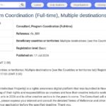 Consultant en coordination de programmes –