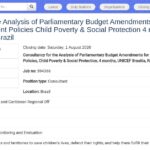 Consultant·e – Analyse des amendements budgétaires
