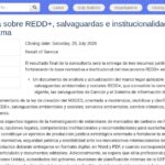 Consultant juridique REDD+ et sauvegardes Paraguay